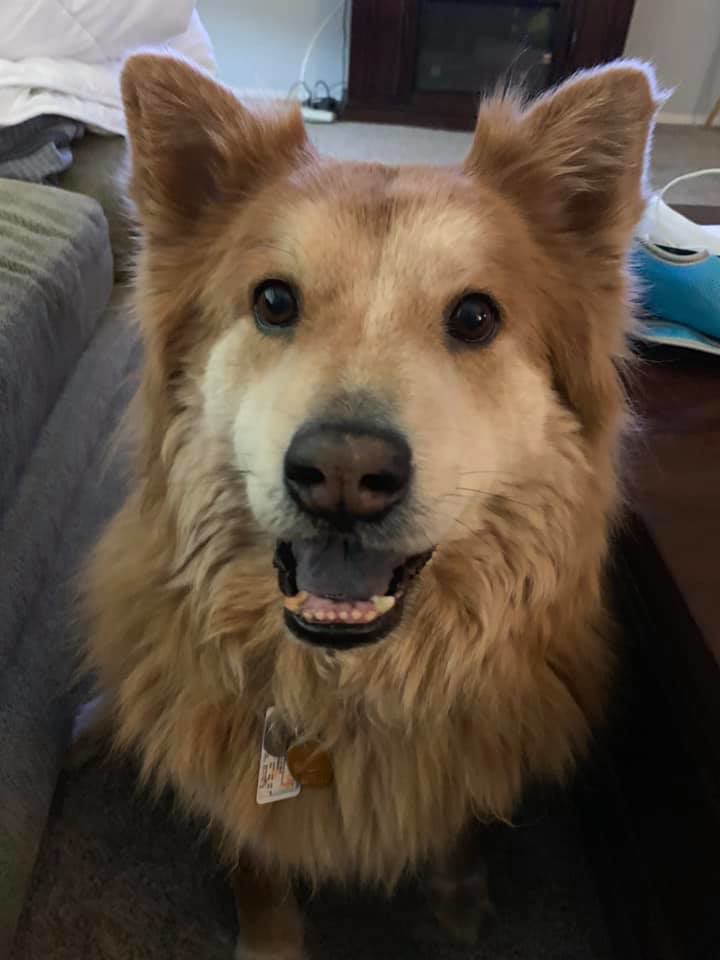 Readers pet photos